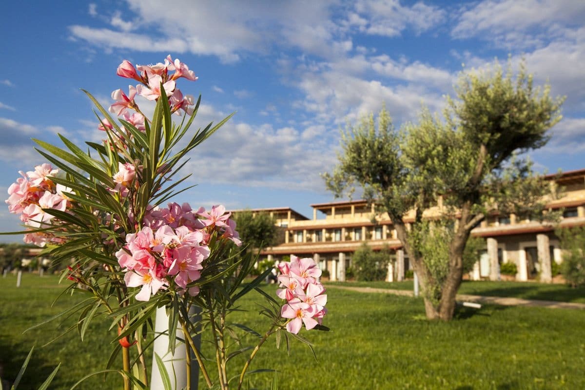 Eco Resort Dei Siriti Nova Siri Exterior photo